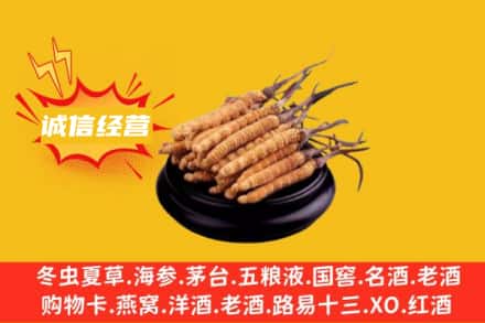 内江威远县回收冬虫夏草